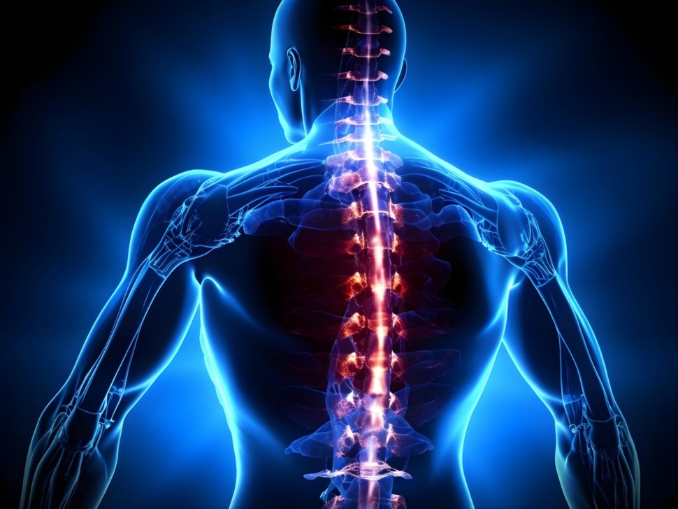 spinal-orthopedic-inflammation